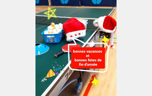 Bonnes Fêtes 