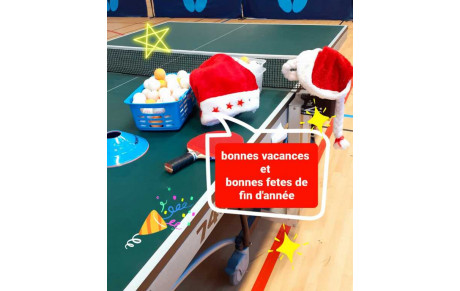 Bonnes Fêtes 