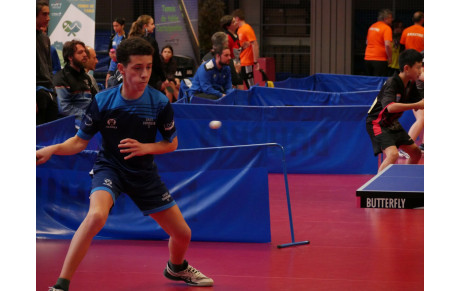 Maillots et shorts Pandax - deuxième commande